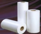 PP SYNTHESIS PAPER 54/AP003/WG 62